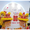 MINDCHAMPS CHINESE PRESCHOOL @ THOMSON PTE. LIMITED