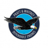 PRATT & WHITNEY COMPONENT SOLUTIONS PTE. LTD.