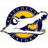 Allegheny College