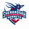 Shenandoah University