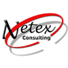 Netex Consulting
