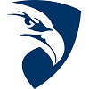 Paragon Systems-logo