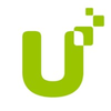 Program and Process Analyst
