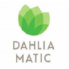 DahliaMatic Poland Jobs Expertini