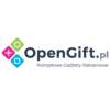 Senior E-commerce Project Manager