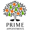 Prime Appointments Ltd