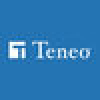 Teneo Holdings