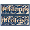 ProTemps/ProTegé