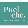 Puelche Human Consulting