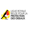 LIGUE ROYALE BELGE POUR LA PROTECTION DES OISEAUX