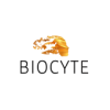 Responsable Marketing H / F