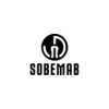 Conducteur de Ligne H / F