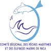 Coordinateur technique H / F
