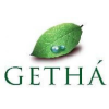 Export-Shipping Executive