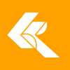 Admin Cum With Coordinator (Mandarin Speaker)
