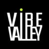Vibe Valley Marketing