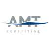 AMT Consulting
