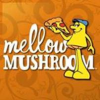 Mellow Mushroom - Asheville