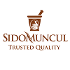 senior web programmer (fullstack)