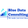 Blue Data Consulting & IT services Pvt Ltd.