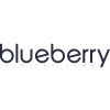 Blueberry Digital Labs