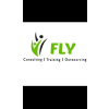 Fly consulting service
