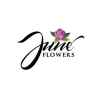 Sales and Business Development Executive