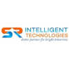 DGPays Business Analyst