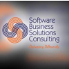 Software Business Solutions Consulting