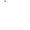 Business Development Executive