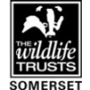 Somerset Nature Connections - Project Officer (Blackdown Hills)