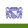 Stadt Zürich, Organisation und Informatik-logo