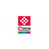 CIDEON Software & Services GmbH & Co. KG-logo