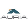 Auria Solutions GmbH