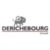 DERICHEBOURG Umwelt GmbH-logo