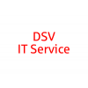 DSV IT Service GmbH - Ein Unternehmen der DSV-Gruppe