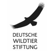 Referent Großspender (m / w / d)