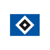 HSV Fußball AG