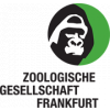 Assistenz (gn) des Head of Finance