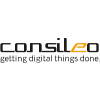 consileo GmbH & Co. KG