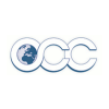 Senior Manager Finance Transformation