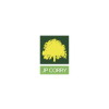 Proactive Sales Executive
