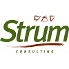 Strum Consulting-logo
