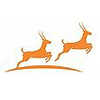 Orange Antelopes Pvt. Ltd.-logo