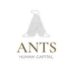 Ants Human Capital