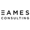 Eames Consulting Group