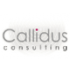 Callidus Consulting Limited