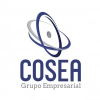Grupo empresarial COSEA