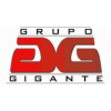 Grupo Gigante