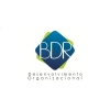BDR - Desenvolvimento Organizacional